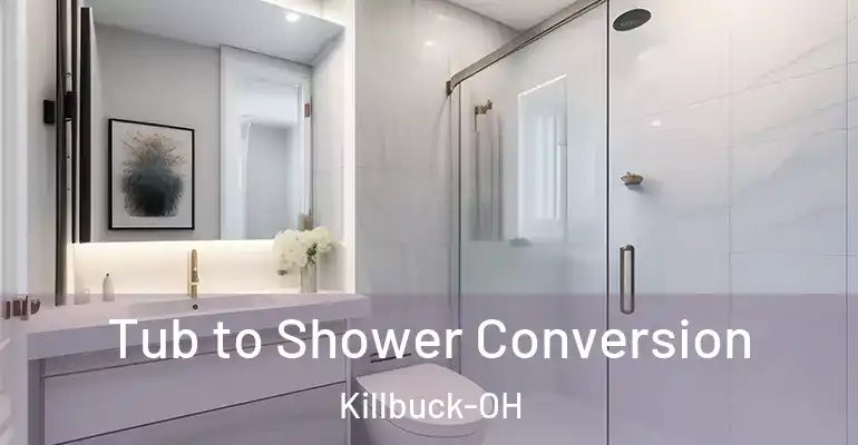 inner Bathroom imggen Tub to Shower Conversion Killbuck-OH