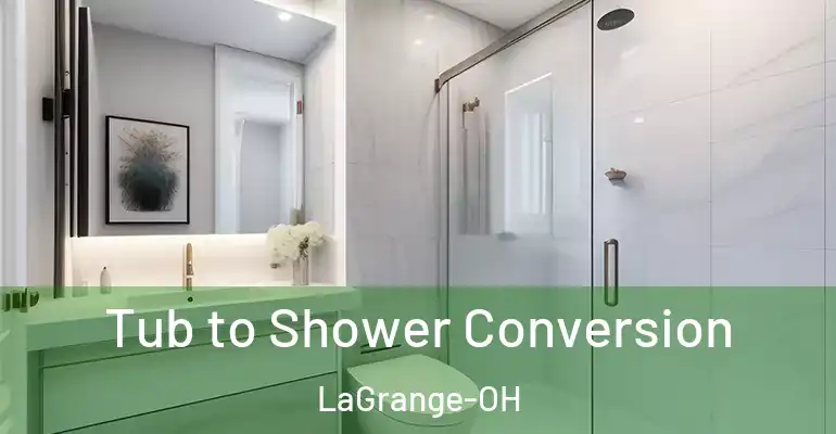 inner Bathroom imggen Tub to Shower Conversion LaGrange-OH