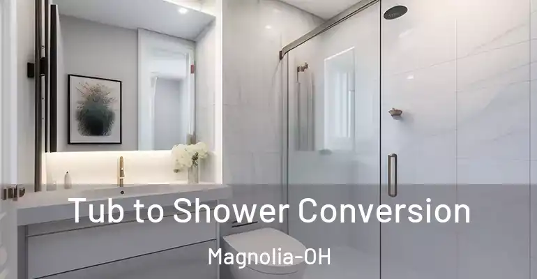 inner Bathroom imggen Tub to Shower Conversion Magnolia-OH