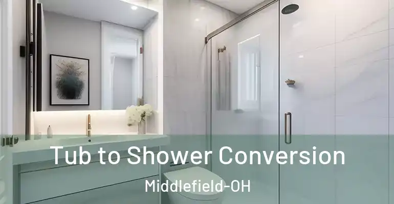 inner Bathroom imggen Tub to Shower Conversion Middlefield-OH