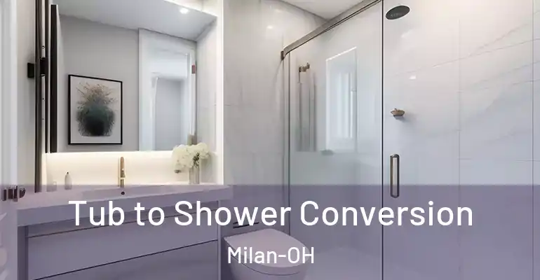 inner Bathroom imggen Tub to Shower Conversion Milan-OH