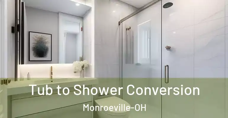inner Bathroom imggen Tub to Shower Conversion Monroeville-OH