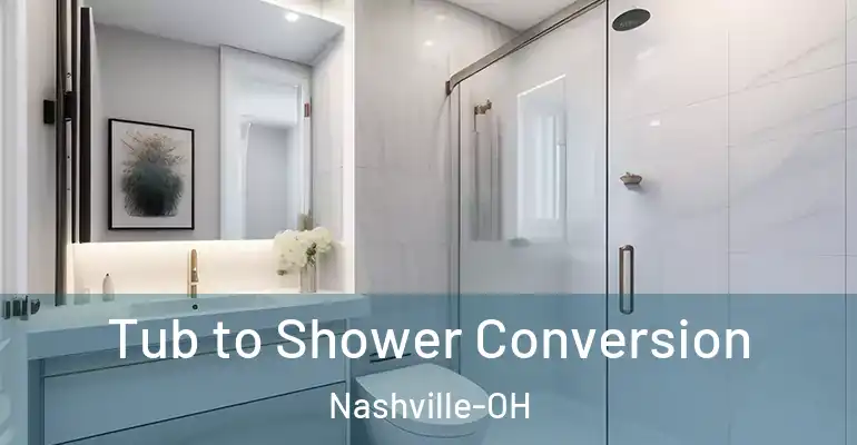 inner Bathroom imggen Tub to Shower Conversion Nashville-OH