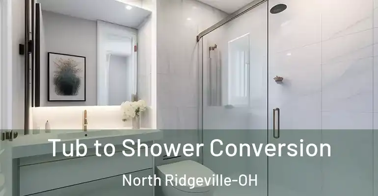inner Bathroom imggen Tub to Shower Conversion North Ridgeville-OH