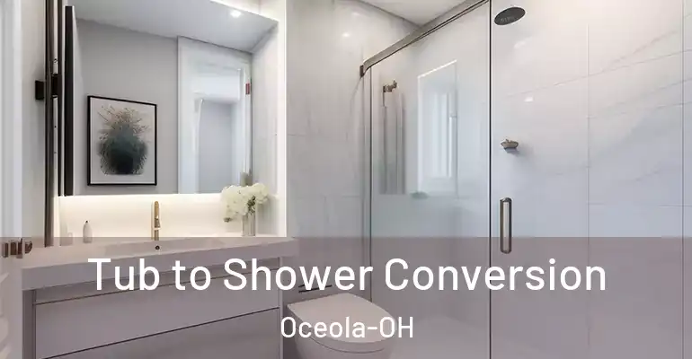 inner Bathroom imggen Tub to Shower Conversion Oceola-OH