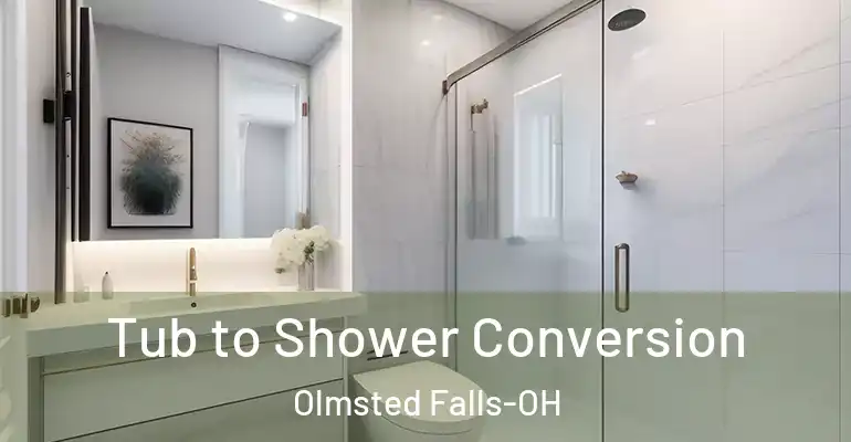 inner Bathroom imggen Tub to Shower Conversion Olmsted Falls-OH