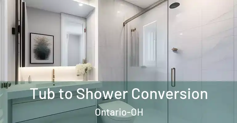 inner Bathroom imggen Tub to Shower Conversion Ontario-OH