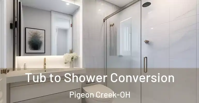 inner Bathroom imggen Tub to Shower Conversion Pigeon Creek-OH