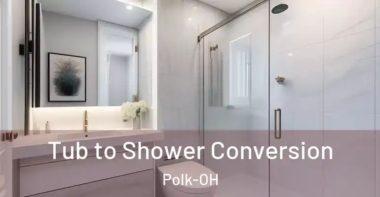 inner Bathroom imggen Tub to Shower Conversion Polk-OH