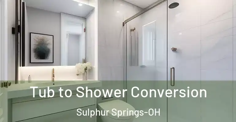 inner Bathroom imggen Tub to Shower Conversion Sulphur Springs-OH