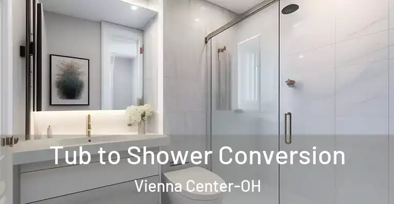 inner Bathroom imggen Tub to Shower Conversion Vienna Center-OH