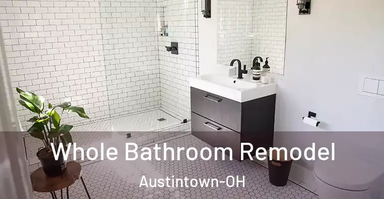 inner Bathroom imggen Whole Bathroom Remodel Austintown-OH