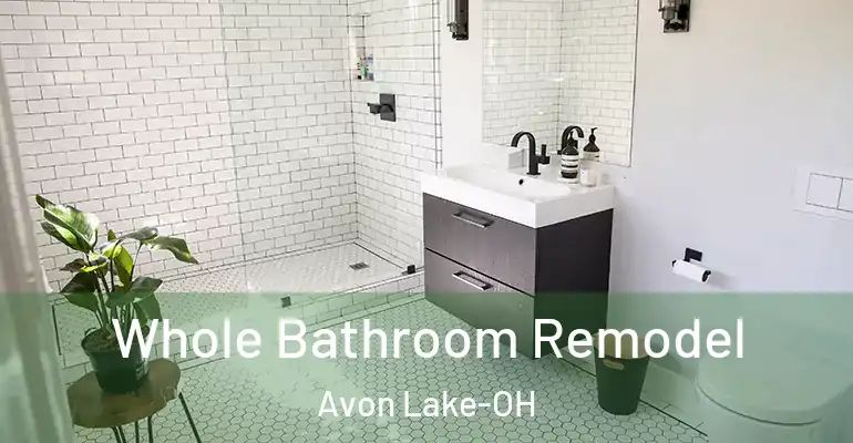 inner Bathroom imggen Whole Bathroom Remodel Avon Lake-OH