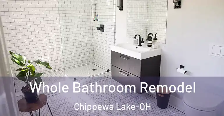 inner Bathroom imggen Whole Bathroom Remodel Chippewa Lake-OH