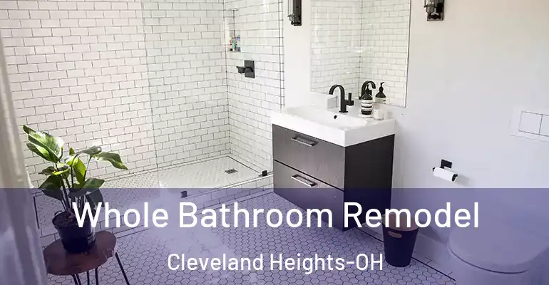 inner Bathroom imggen Whole Bathroom Remodel Cleveland Heights-OH
