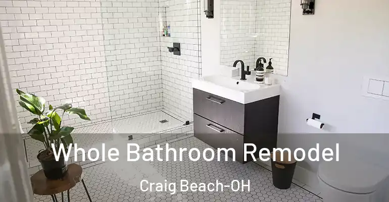inner Bathroom imggen Whole Bathroom Remodel Craig Beach-OH