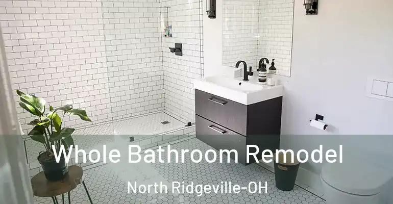 inner Bathroom imggen Whole Bathroom Remodel North Ridgeville-OH