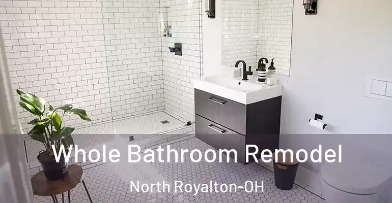 inner Bathroom imggen Whole Bathroom Remodel North Royalton-OH