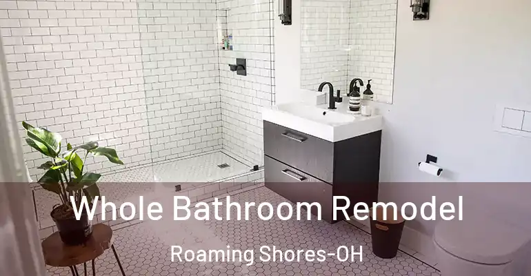 inner Bathroom imggen Whole Bathroom Remodel Roaming Shores-OH