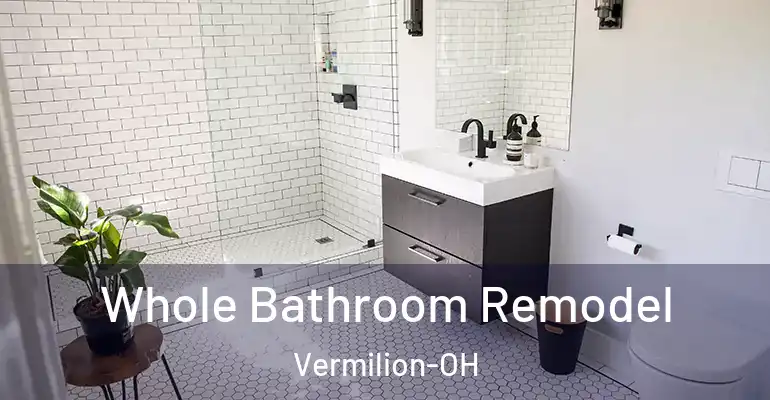 inner Bathroom imggen Whole Bathroom Remodel Vermilion-OH
